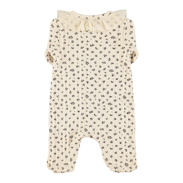 1e09b597-b6ee-458f-87e0-62dbc113e5ca