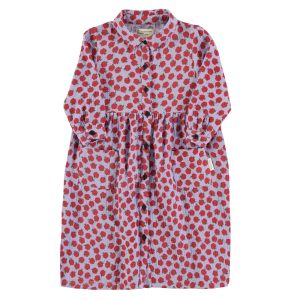 Long Dress Lilac Red Apples