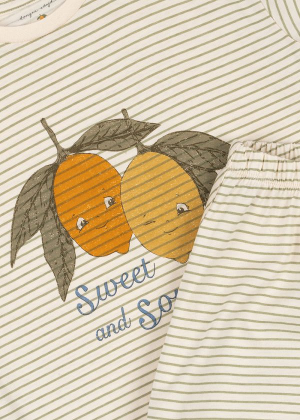 780777ac-1e50-4c67-a469-f397846a8cf8-2