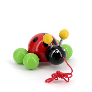 Baby Ladybug Pull Toy