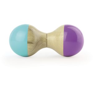 Turquoise And Purple Maracas