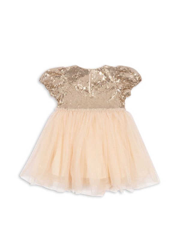 384f03c6-61ea-4063-a43e-425fa281c060-6