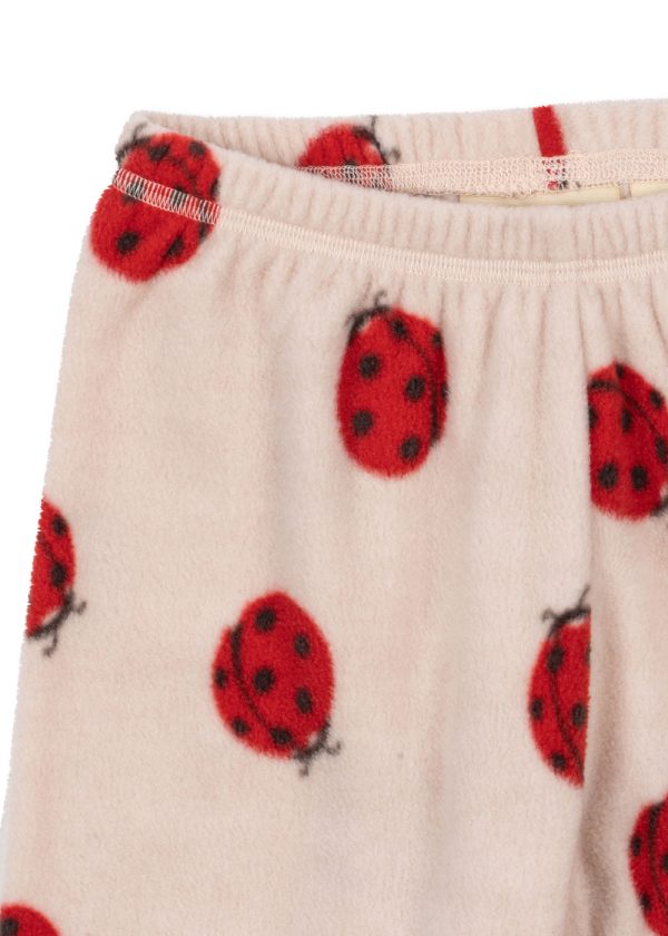 388ee60d-6112-4632-98f8-0dea07761ef3-6