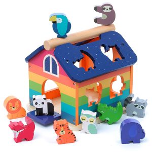 Rainbow - Shape sorter - Andy Westface Vilac