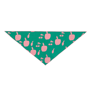 Girls’ Bandana