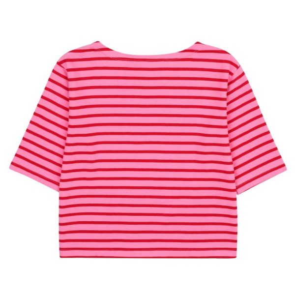 7c6811f3-4b1c-4d4d-a356-66577dca1ce5