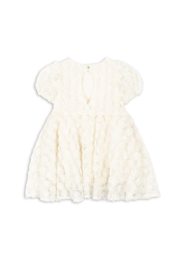 978cc7ed-ff82-41e8-930b-7d77cb582455