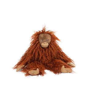 Small Orang-Utan Tout Autour Du Monde