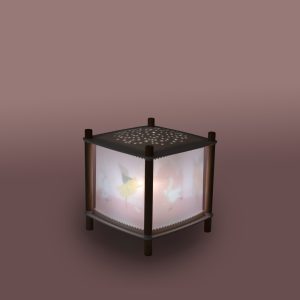 Connected magic lantern La Petite Ecole de Danse