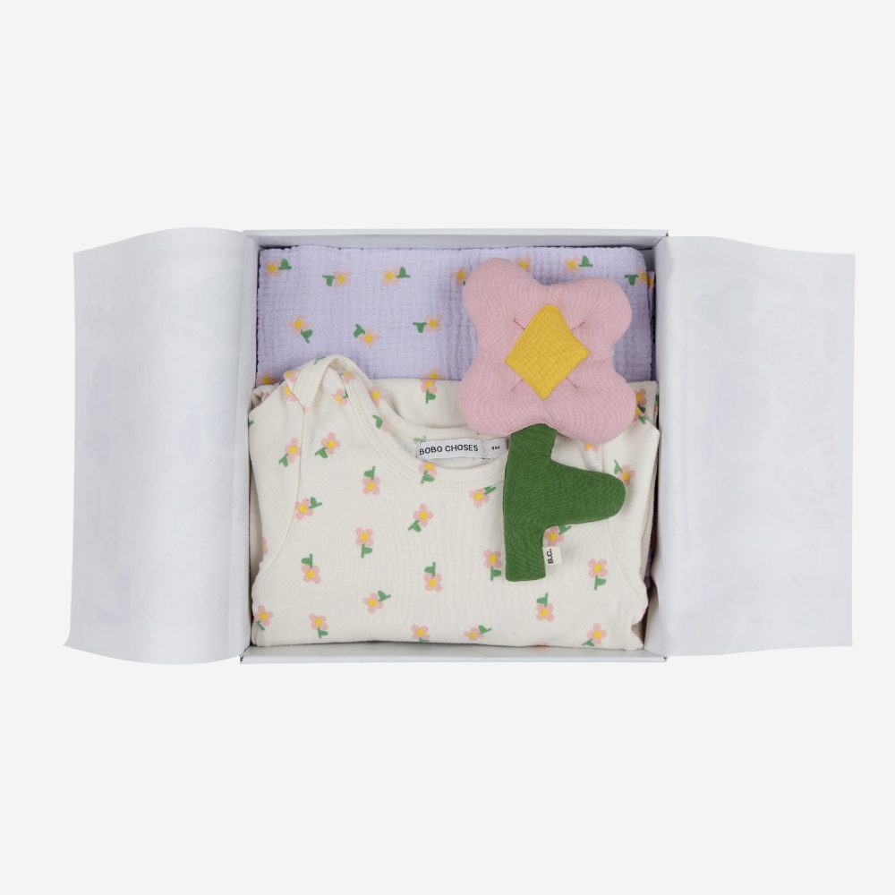 Baby Pansy Flower gift set