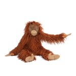 Large orang-utan Tout autour du monde