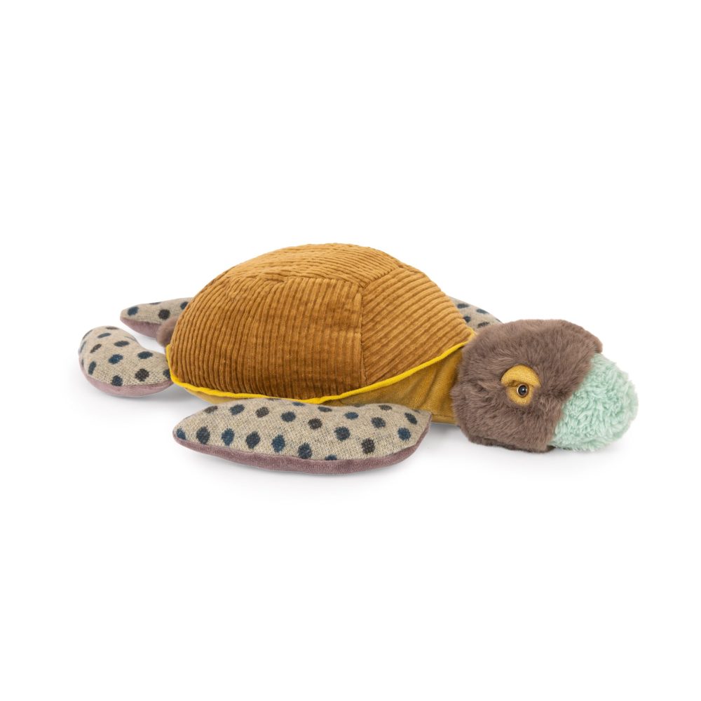 Small turtle Tout autour du monde