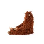 Large orang-utan Tout autour du monde