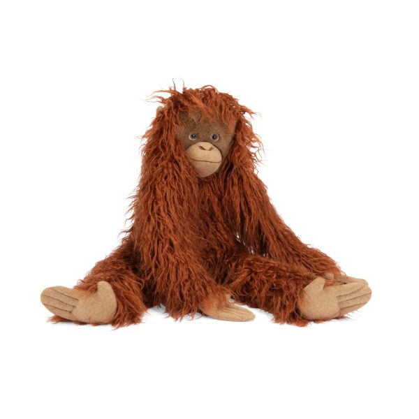Large orang-utan Tout autour du monde