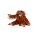 Small orang-utan Tout autour du monde
