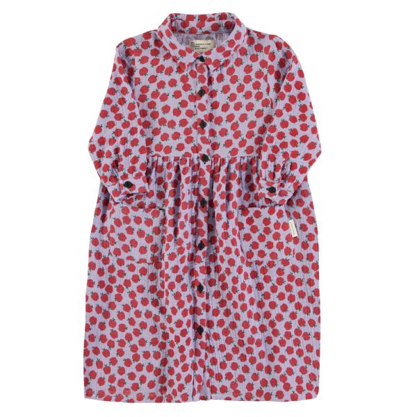 Long dress | Lilac w/ red apples / 3Y