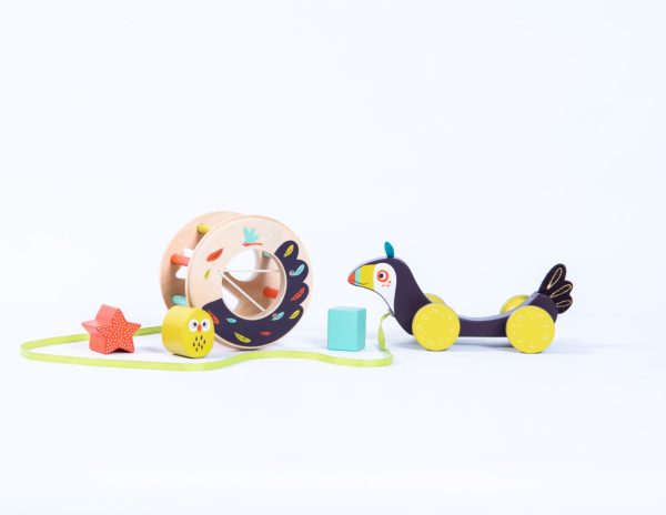 Toucan pull along shape sorter Dans la jungle