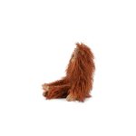 Small orang-utan Tout autour du monde