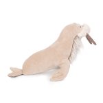 Small walrus Tout autour du monde