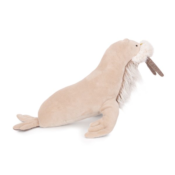 Small walrus Tout autour du monde