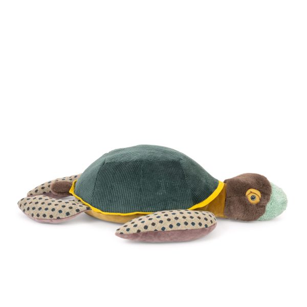 Large turtle Tout autour du monde