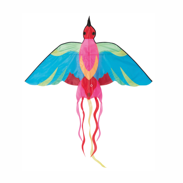 Bird kite Aujourd'hui c'est mercredi